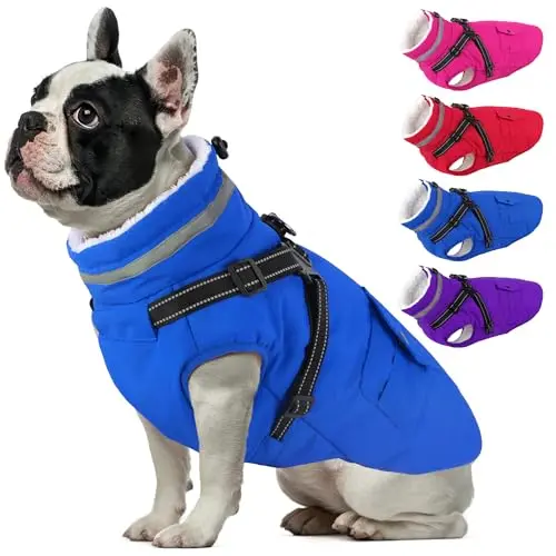 Dogcheer dog coat with pockets and built-in harness